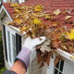 Seasonal Roof Maintenance