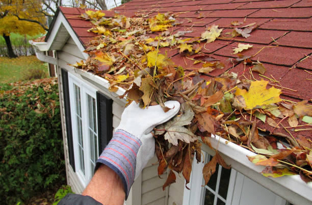 Seasonal Roof Maintenance